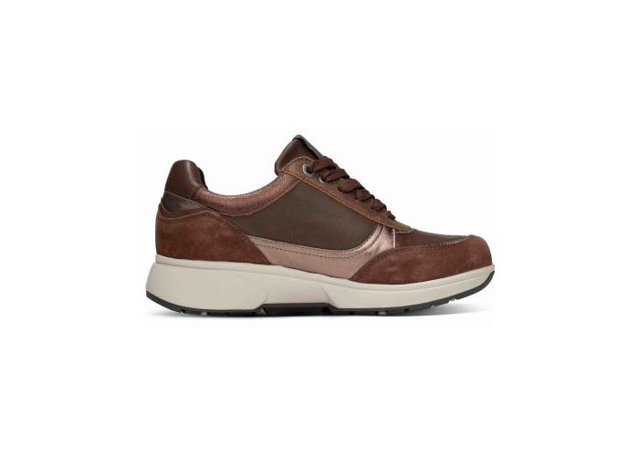 Xsensible 11419 Sneakers Bruin