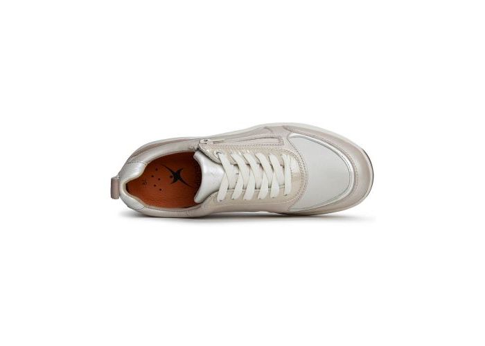 Xsensible 10817 Sneakers Metallic