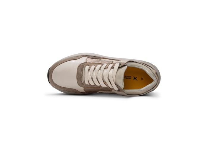 Xsensible 10971 Sneakers Taupe