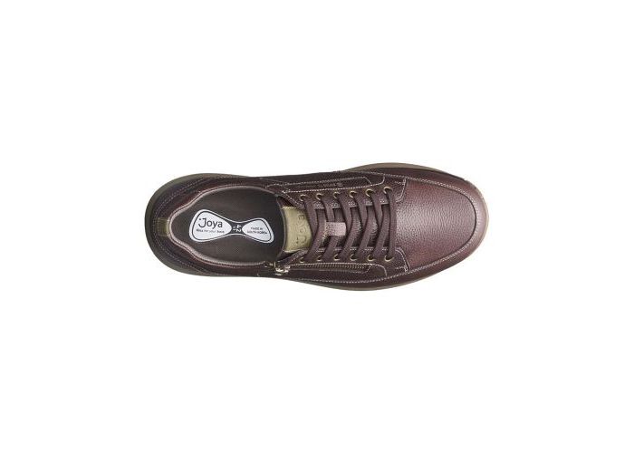 Joya 9287 Trainers Brown