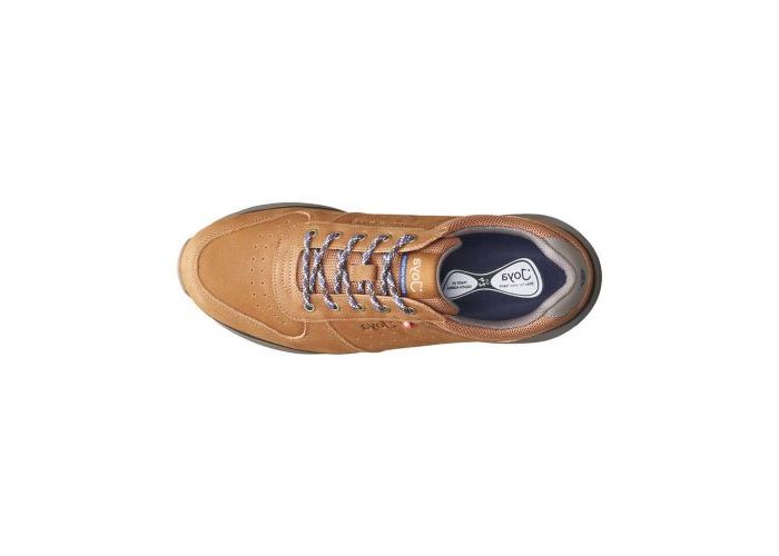 Joya 9254 Trainers Brown