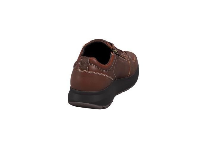 Joya 11576 Sneakers & baskets Bruin