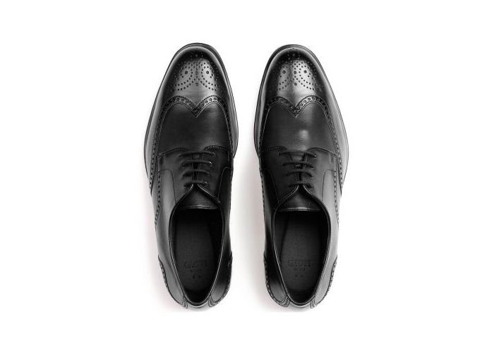 Lloyd 11124 Veterschoenen Zwart