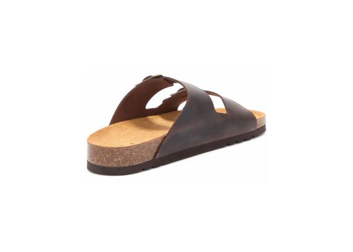 Scholl 11295 Instekers Bruin