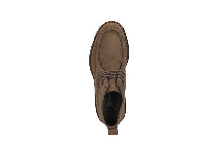 Sioux 11583 Boots & bottines Bruin