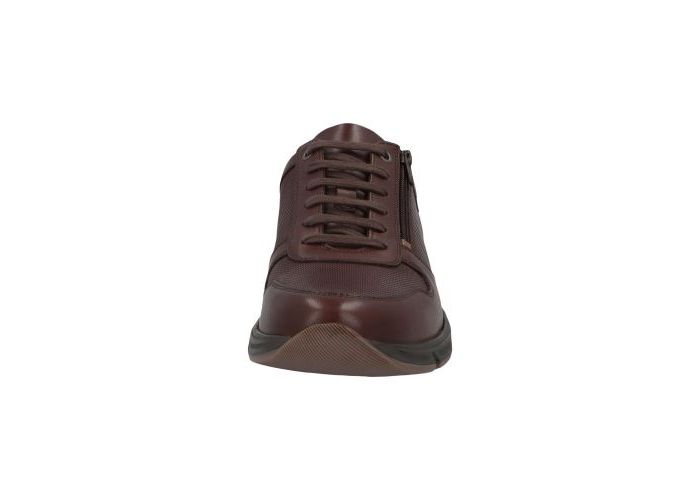 Solidus 11104 Sneakers & baskets Bruin