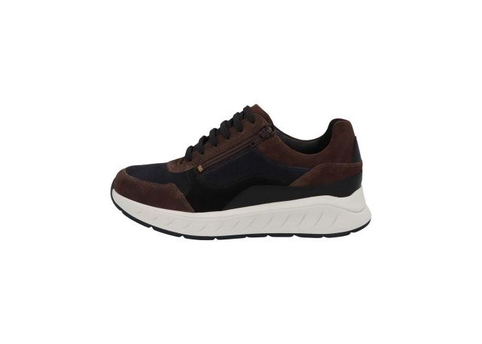 Solidus 10461 Trainers Brown