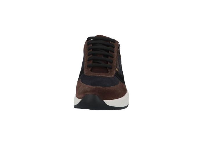 Solidus 10461 Trainers Brown