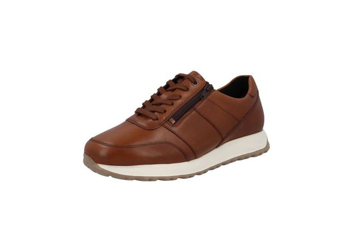 Solidus Sneakers & baskets Harry H 83010-30153 Cognac Cognac