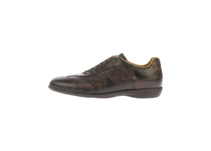 Van Bommel Lace-up shoes 16168/08 M.Br Snake L 708 H Brown