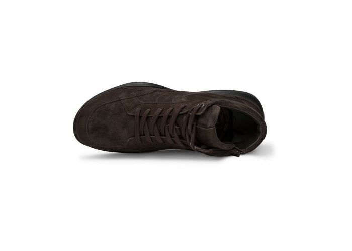 Xsensible 10976 Boots & bottines Bruin